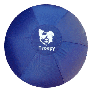 Troopy_Navy